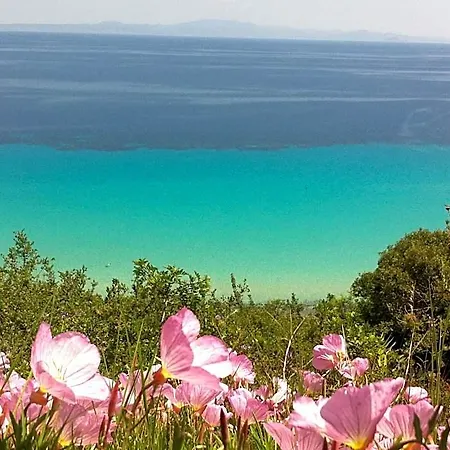 Aegean Blue 3*