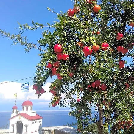 Hotel Aegean Blue Kallithea (Chalkidiki)